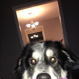 Meet your Posher, Jade